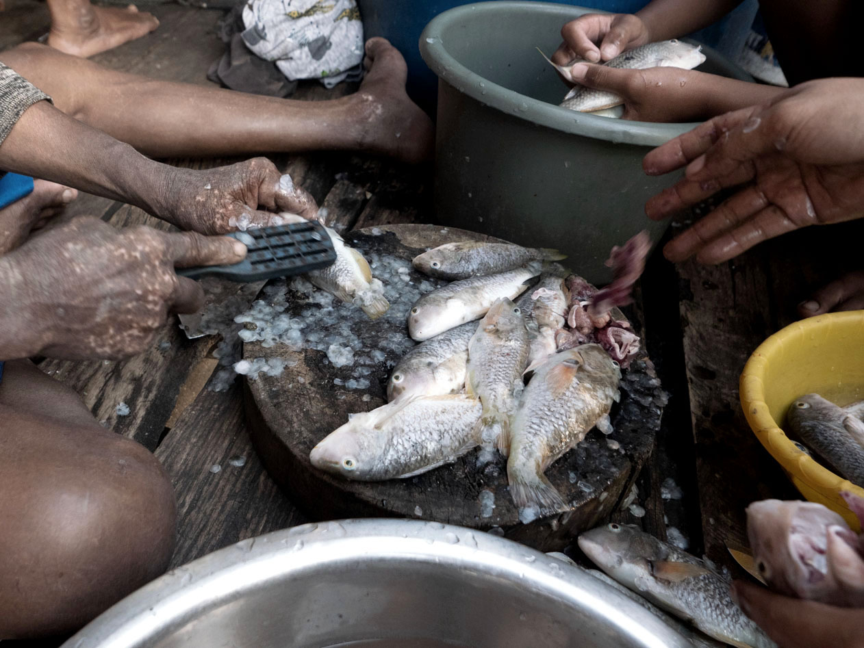 Badak, helped by his grandson, cleans the fish they caught for lunch.