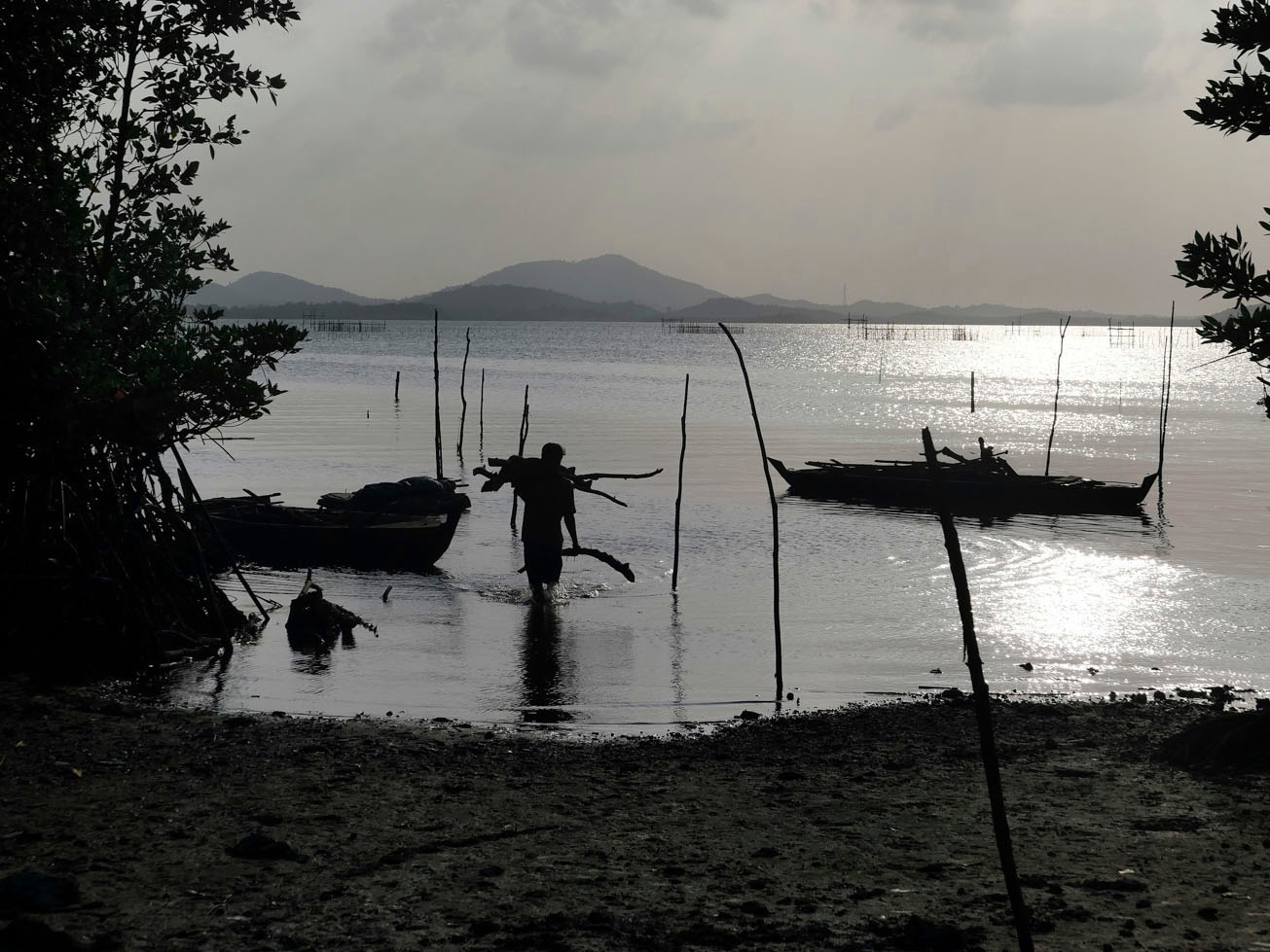 An Orang Laut resident of Tanjung Gundap hauls mangrove wood that will later be burned into charcoal. The wood sells for about Rp200,000 (US$12) a ton, and most people earn around Rp600,000 to Rp800,000 a month from the work.