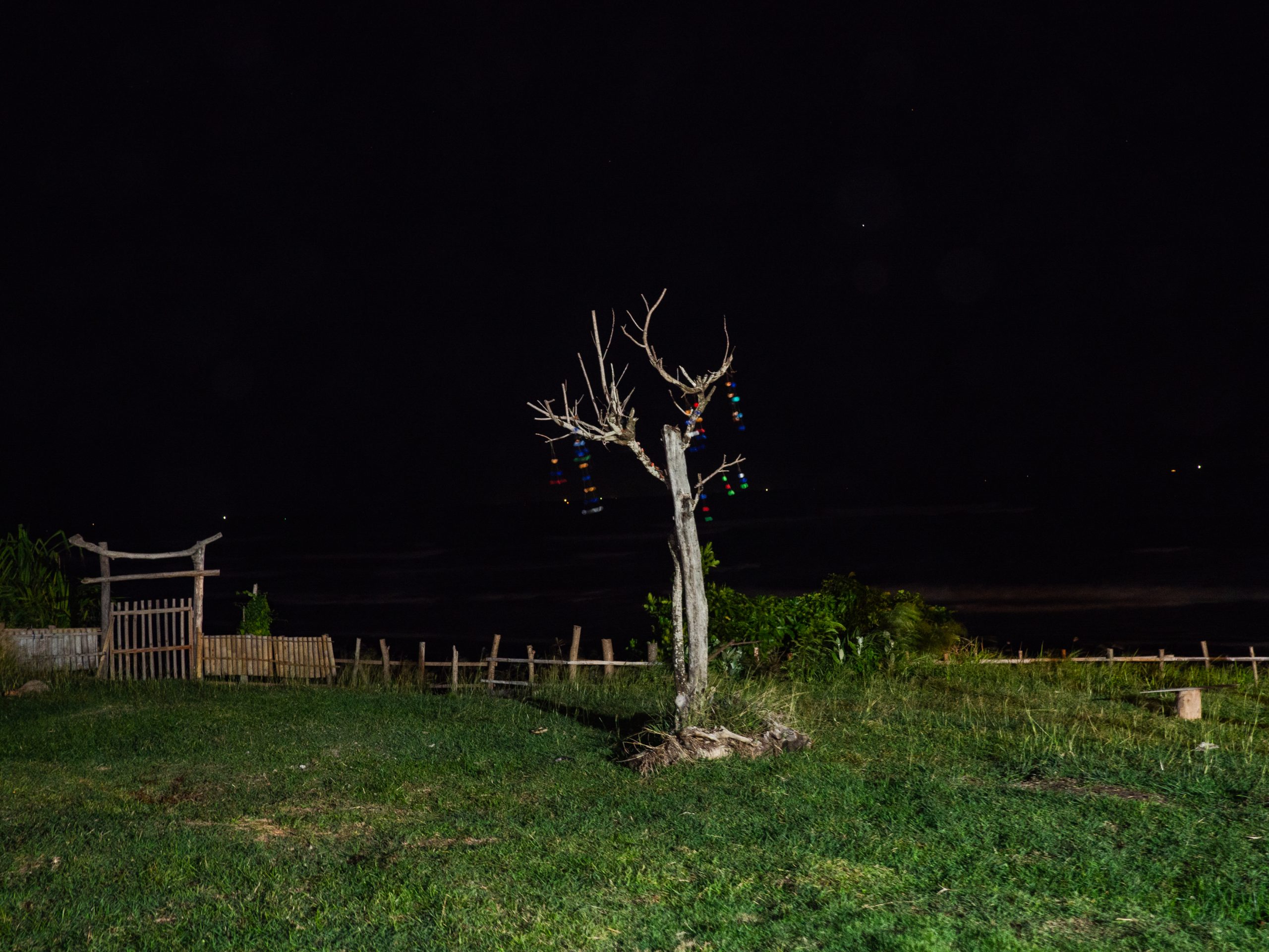A tree with colorful ornaments at night at Nyanyi Beach in Tabanan, Bali. Like a lighthouse or a quiet sanctuary, it becomes an improvised monument to survival and celebration, a visual meditation on migration and safe spaces.