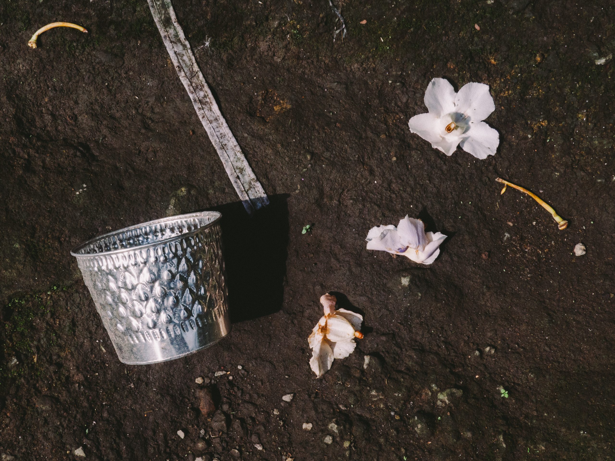 Vessels, ribbons, and flower petals meet in silence, forming a quiet harmony across a rolling landscape. Parting, letting go, encounters, and the weaving into becoming make up the constellation of rituals carried by those who move.