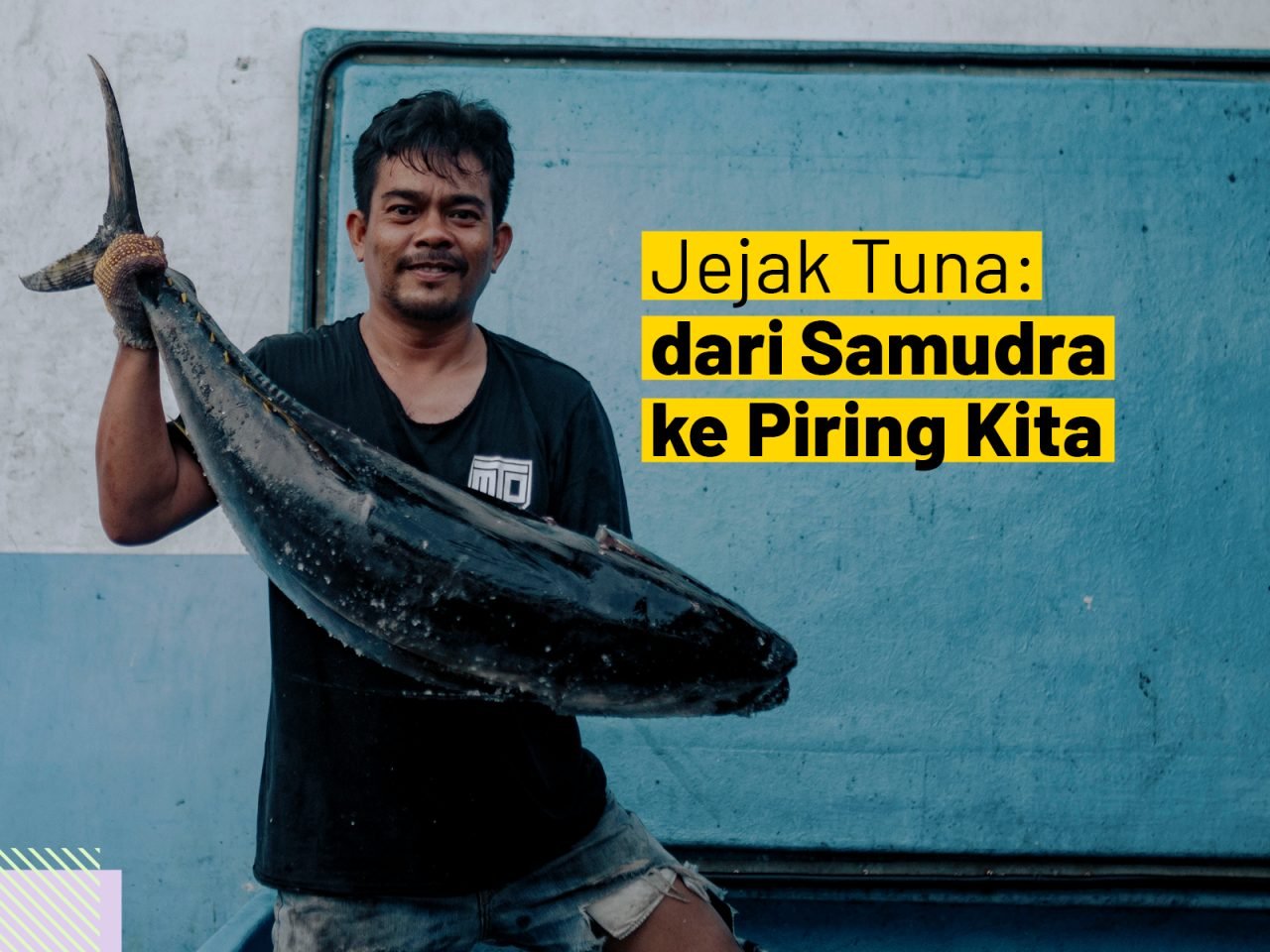 Explainer Tuna